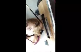 XXX यह हिंदी में सेक्सी मूवी वीडियो की अंतरंगता में लड़कियों होने